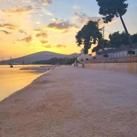 Floris * 特罗吉尔