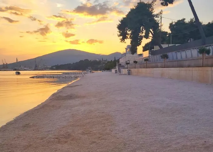 Floris * 特罗吉尔